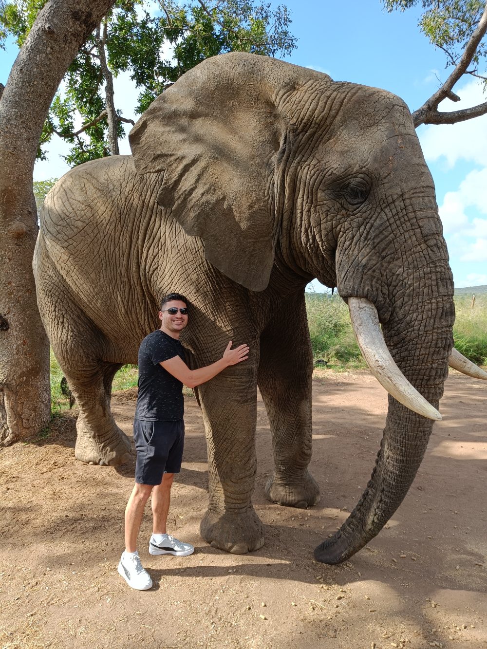 Alex beside an elephant in a South African reserve